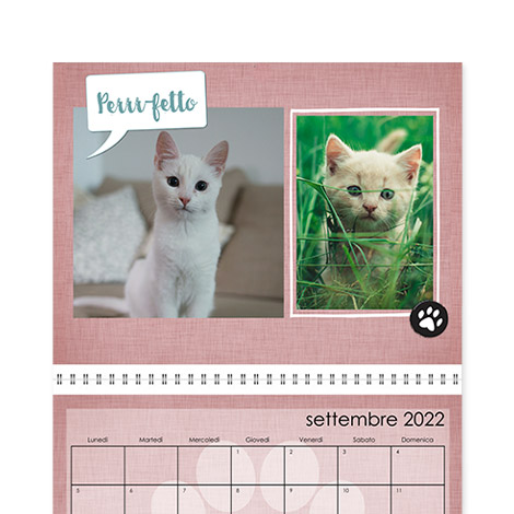 Calendario Animali