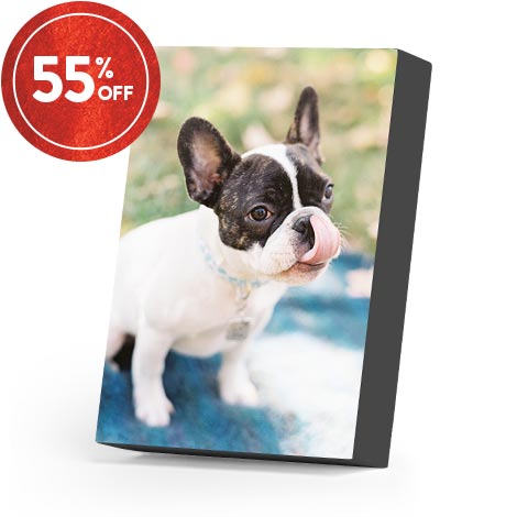 Photo printing deals nz