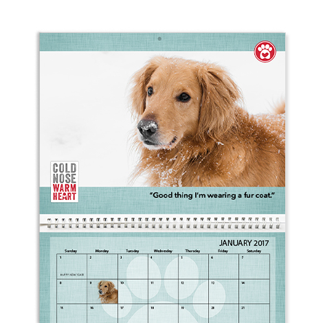 Photo Calendars | Desktop Calendars | Wall Calendars |Custom Calendars ...