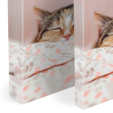 Canvas Prints Personalised Photo On Snapfish Uk Range