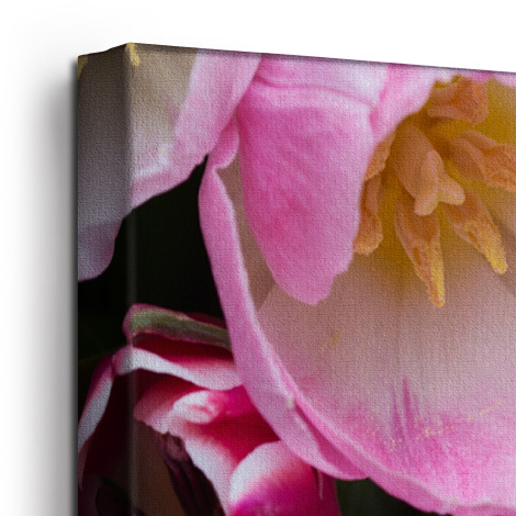 Canvas Prints Personalised Photo On Snapfish Uk Quality