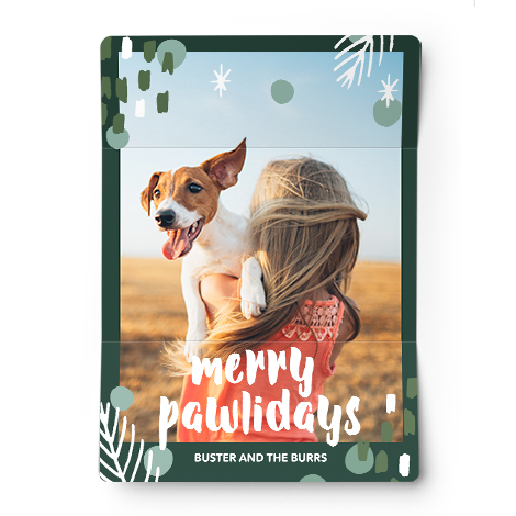 Pet Christmas Cards