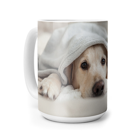 Deals | Coupon Codes | Photo Card + Gift Discounts | Snapfish US