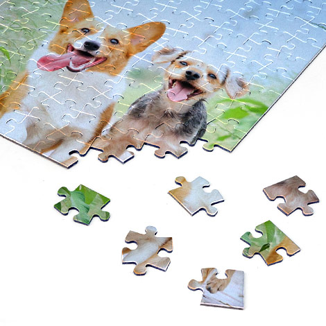 incomplete jigsaw puzzle with picture of two dogs
