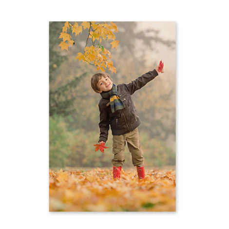 Deals | Coupon Codes | Photo Card + Gift Discounts | Snapfish US