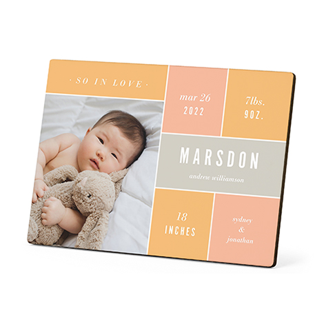 Photo Panels